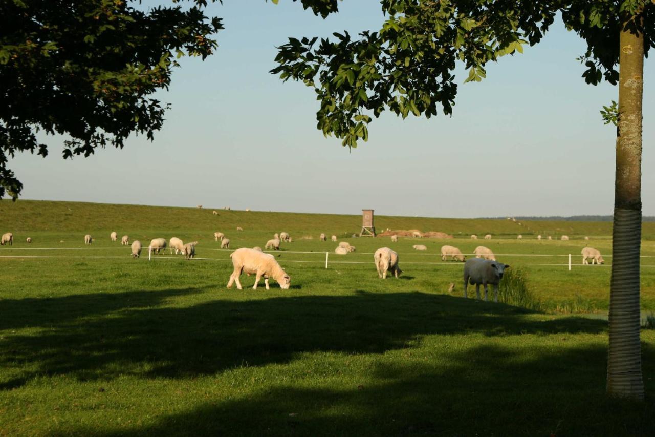 Ferienwohnungen Im Womoland Auf No Nordstrand Zewnętrze zdjęcie